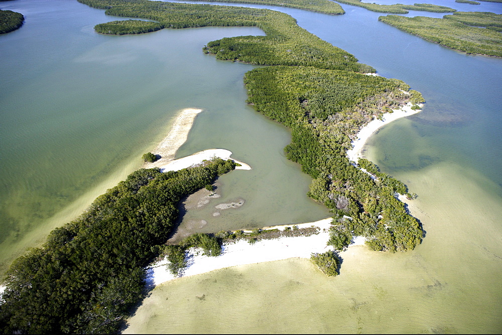 Aerial view of mangroves at Ten Thousand Islands National Wildlife Refuge, Florida, USA