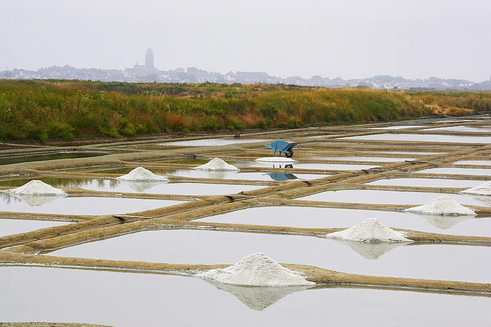 Salt-pans marais salants of GuÃˆrande, dept Loire-Atlantique, France, Europe