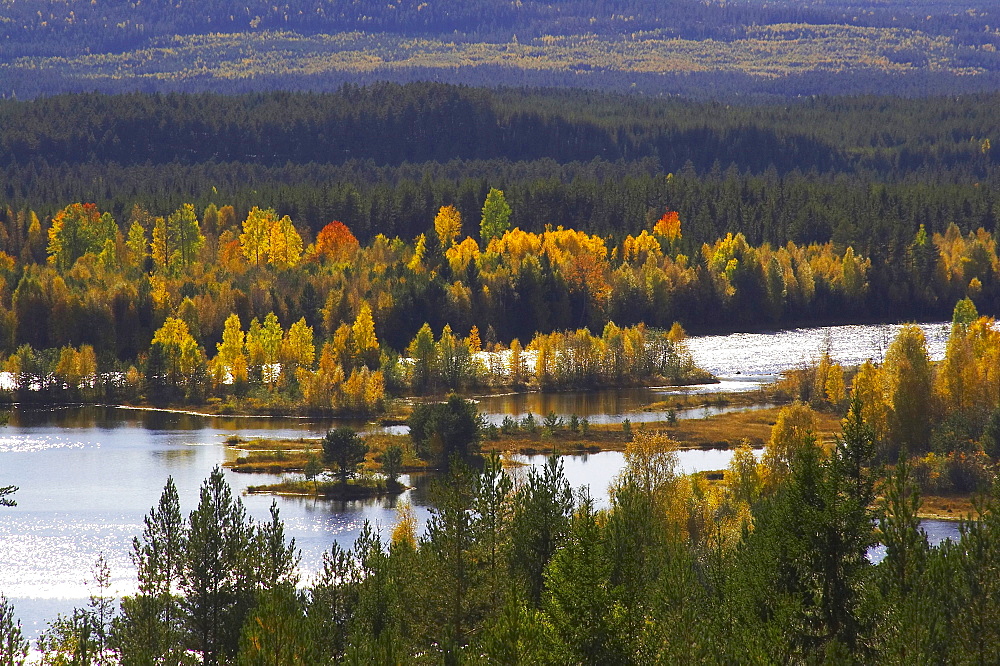 Fall between Mora and Aelvdalen at the Oesterdalaelven, Dalarna, middle Sweden