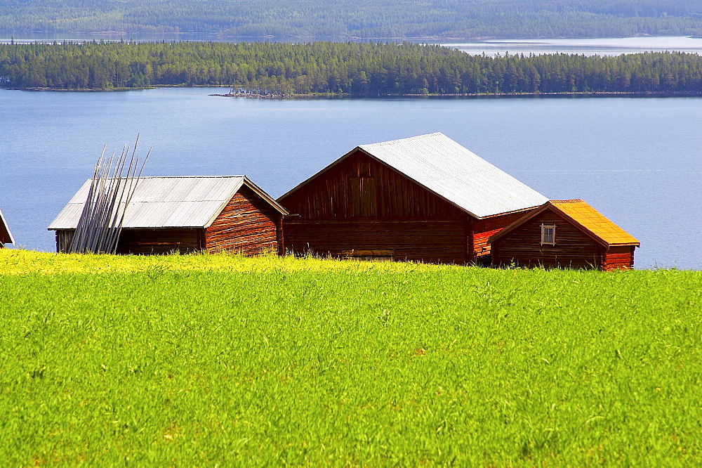 Farmhouses between Hovermo and Vigge am lake Myrviken, Jaemtland, northern Sweden