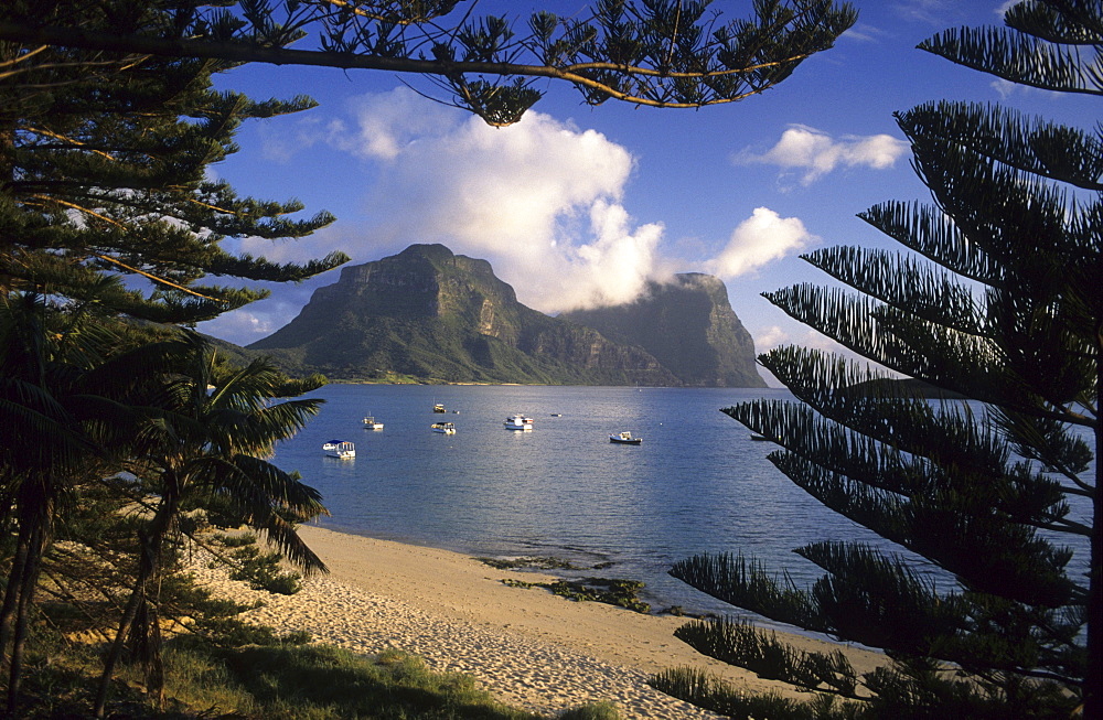 View across the lagoon to Mt. Lidgbird (l) and Mt. Gower (r), Australian