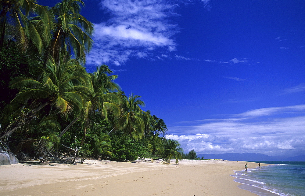 Palm Hideaway on the northside of the island, Bedarra Island, Great Barrier Reef, Australia