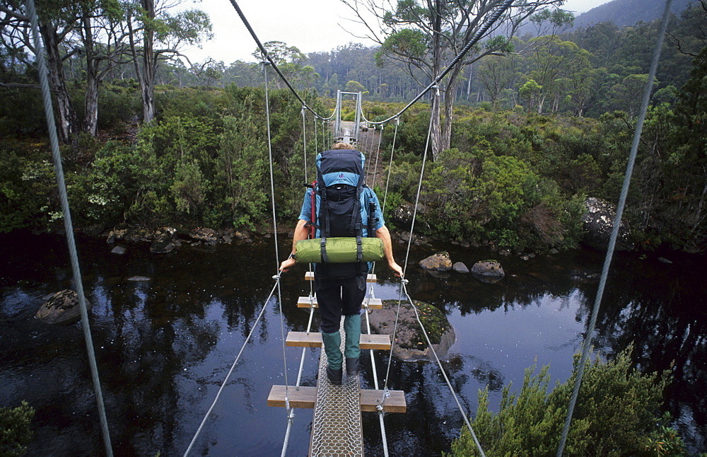 Hiker walking over rope bridge over the Narcissus River, Cradle Mountain Lake St. Clair National Park, Tasmania, Australia