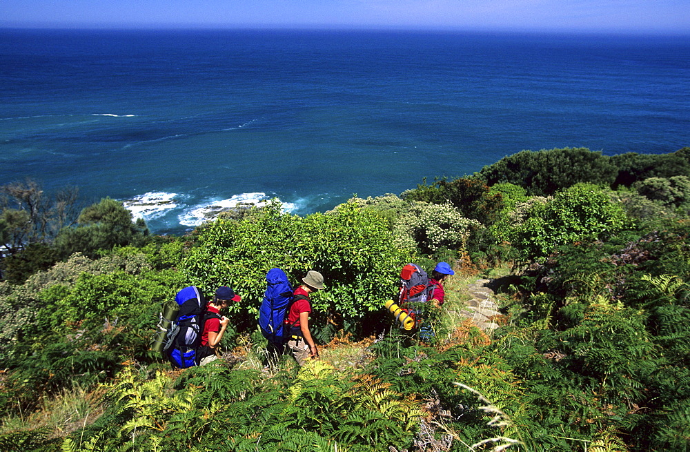 Three people walking along the coast in Otway National Park, Great Ocean Walk, Victoria, Australia