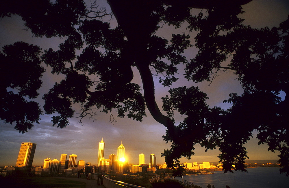 Perth Skyline, view to the city from Kings Park, Perth, Western Australia, Australia