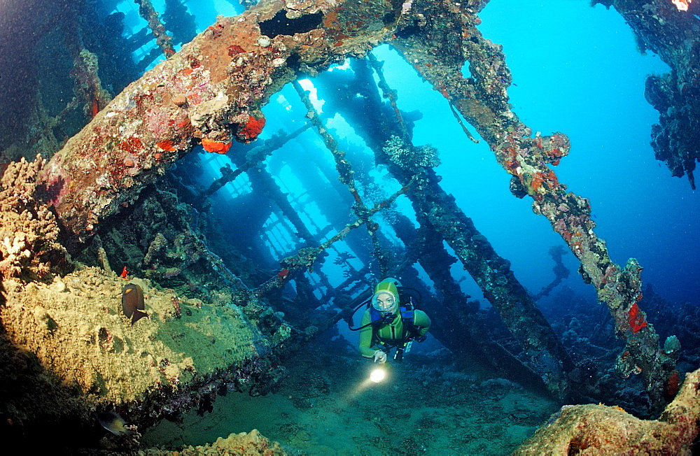 Scuba diver diving on Umbria shipwreck, Sudan, Africa, Red Sea, Wingate Reef