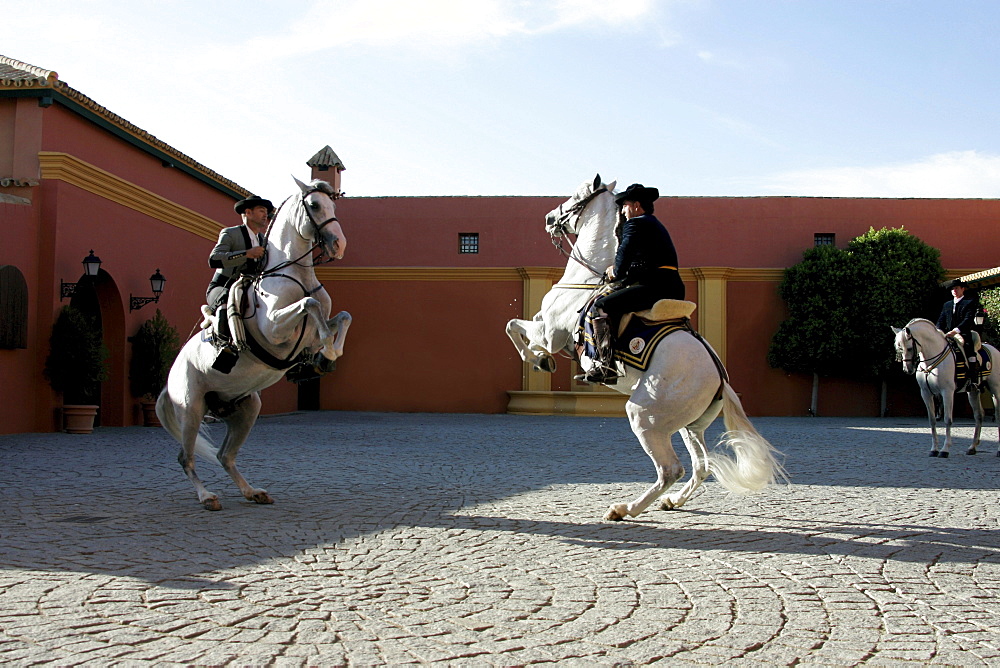 Two men on horseback, Hotel Hacienda La Boticaria, Vega de Alcala de Guadaira, near Sevilla, Andalusia, Spain, Europe