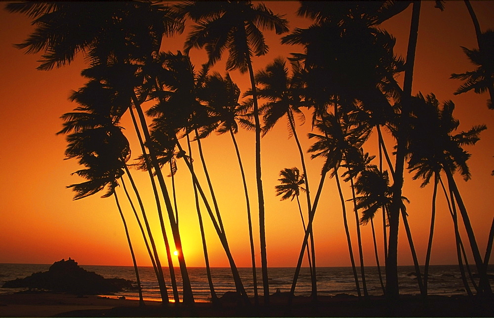 Sri Lanka sunset palm trees, Hikaduwa Westkueste