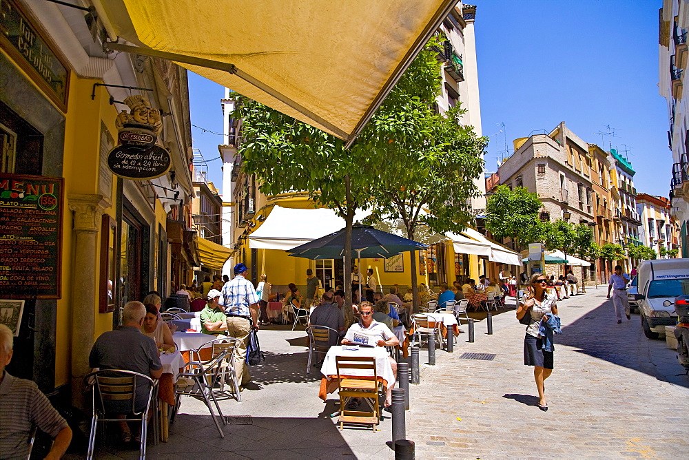 Bar, Seville, Andalusia, Spain