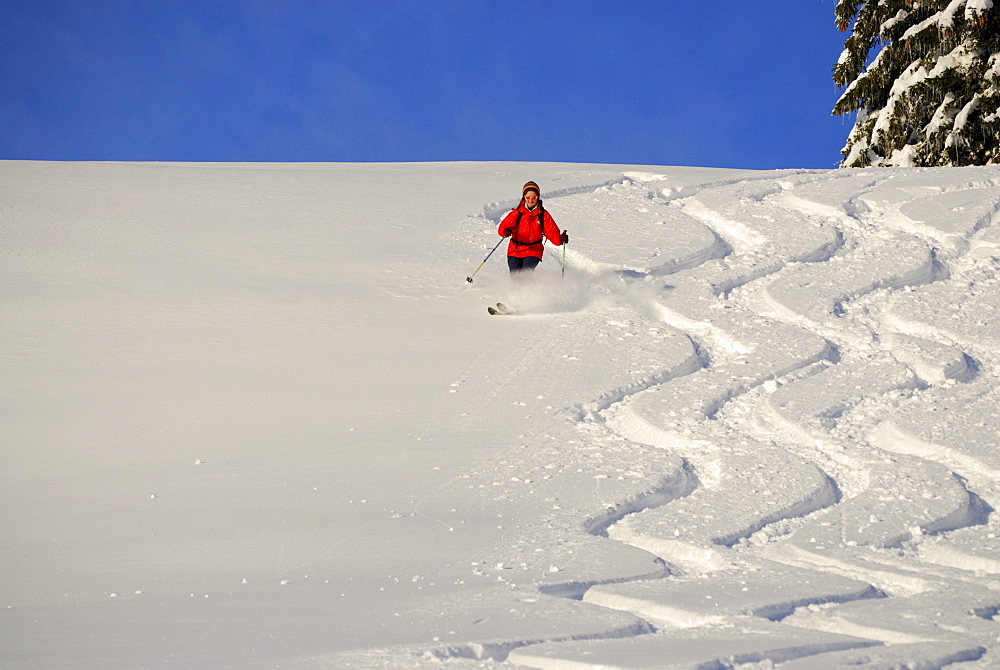 Female skier, downhill skiing in snow-covered mountain scenery, Koppachstein, valley of Balderschwang, Allgaeu range, Allgaeu, Swabia, Bavaria, Germany