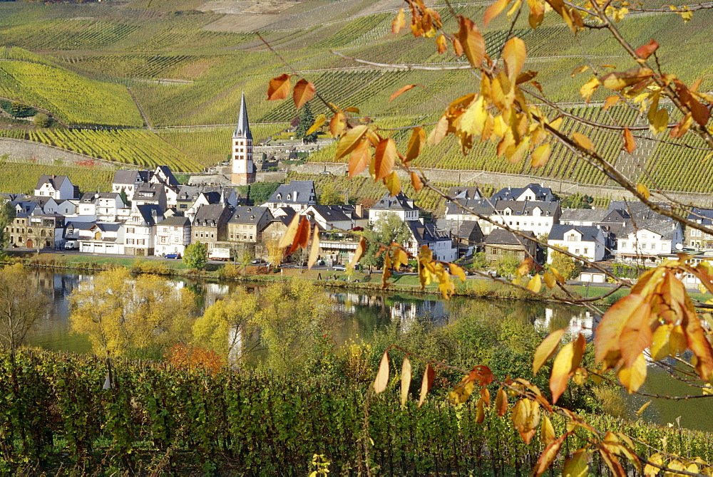 View over river Moselle to Merl with vineyard, Zell, Rhineland-Palatinate, Germany