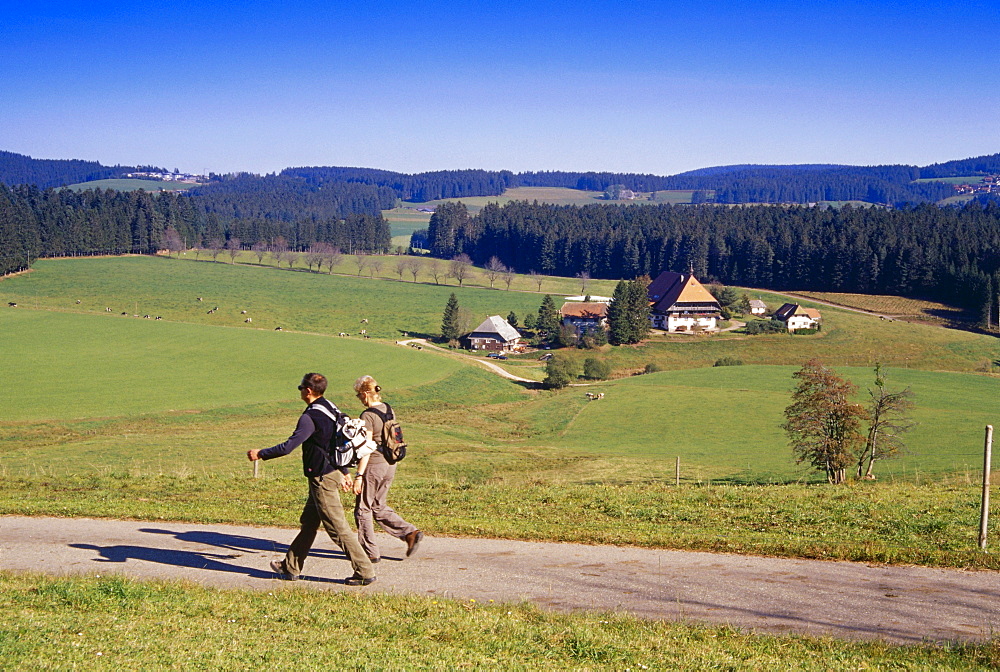 Farm near Furtwangen, two hikers in foreground, Black Forest, Baden-Wurttemberg, Germany