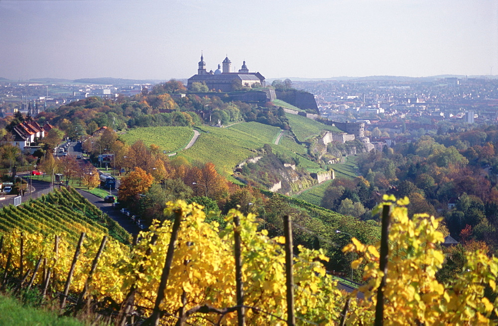 View over vineyard to Fortress Marienberg, Wurzburg, Franconia, Bavaria, Germany