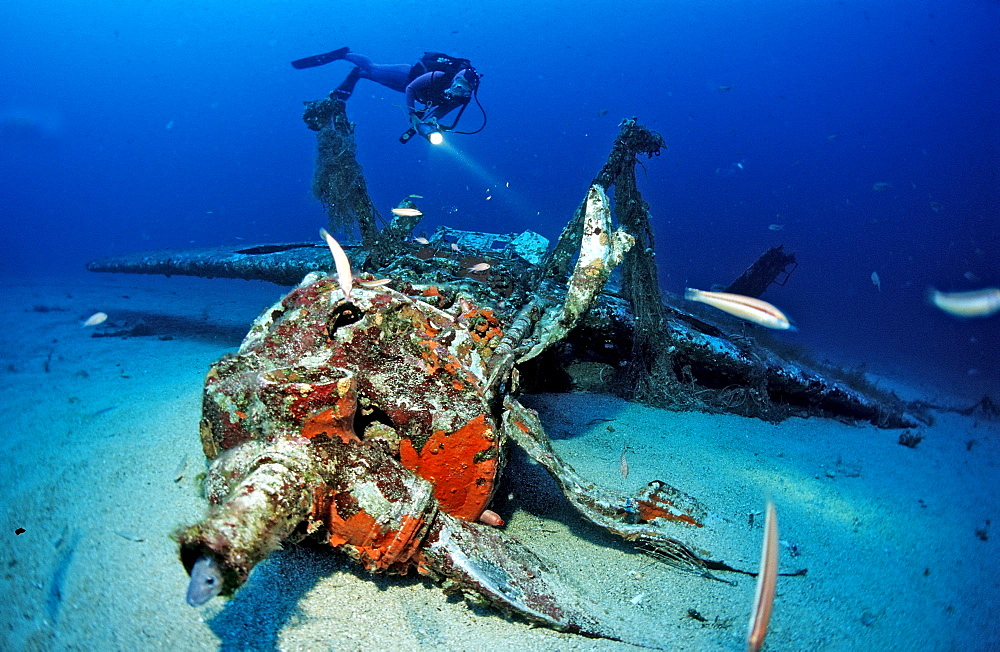 Messerschmidt 109 and scuba diver, Mediterranean Sea, Ile de Planier, Marseille, France