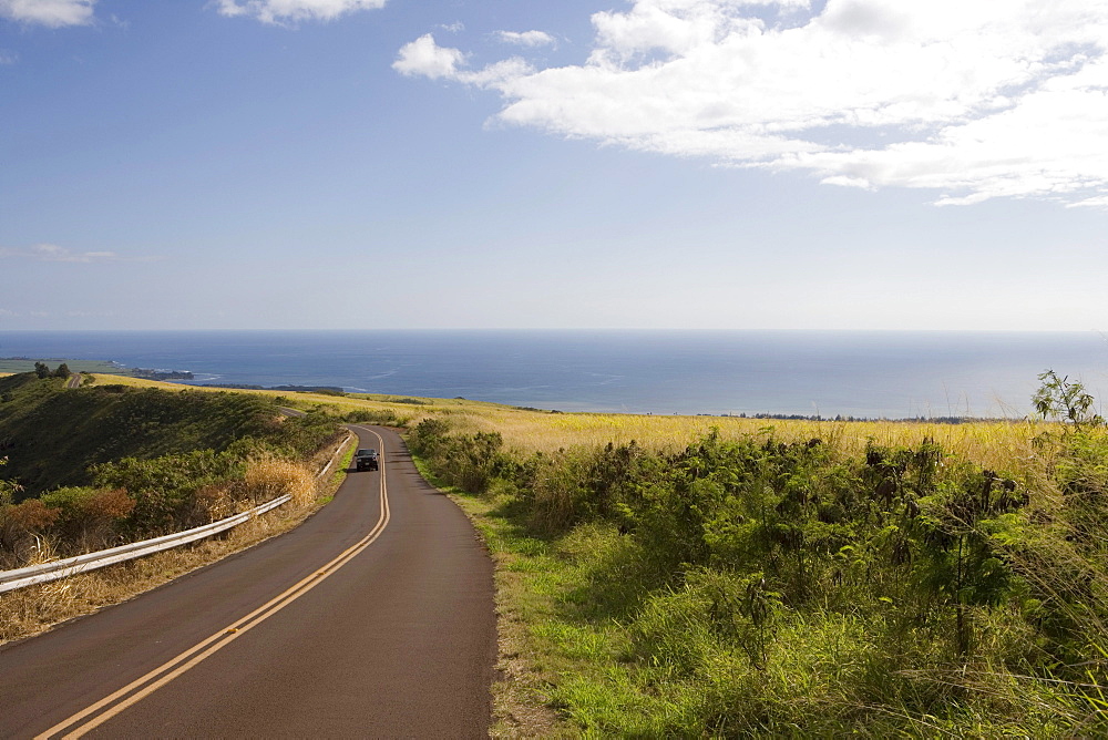 Road through Sugarcane Fields, Waimea Canyon Drive, near Waimea, Kauai, Hawaii, USA