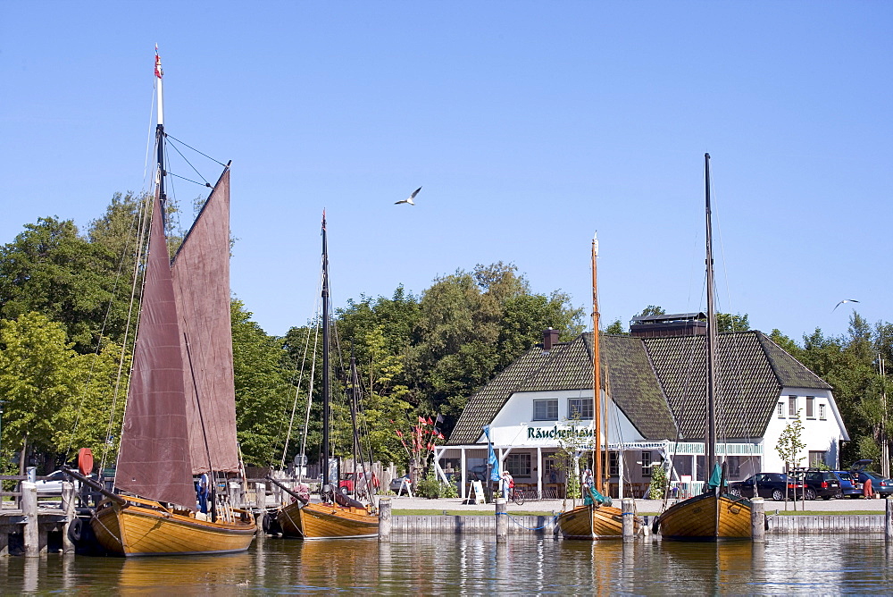 Ahrenshoop, Fischland, Darss, Zingst, Baltic Sea, Mecklenburg-Western Pomerania, Germany
