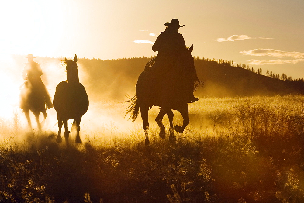 cowboys horseriding at sunset, Oregon, USA