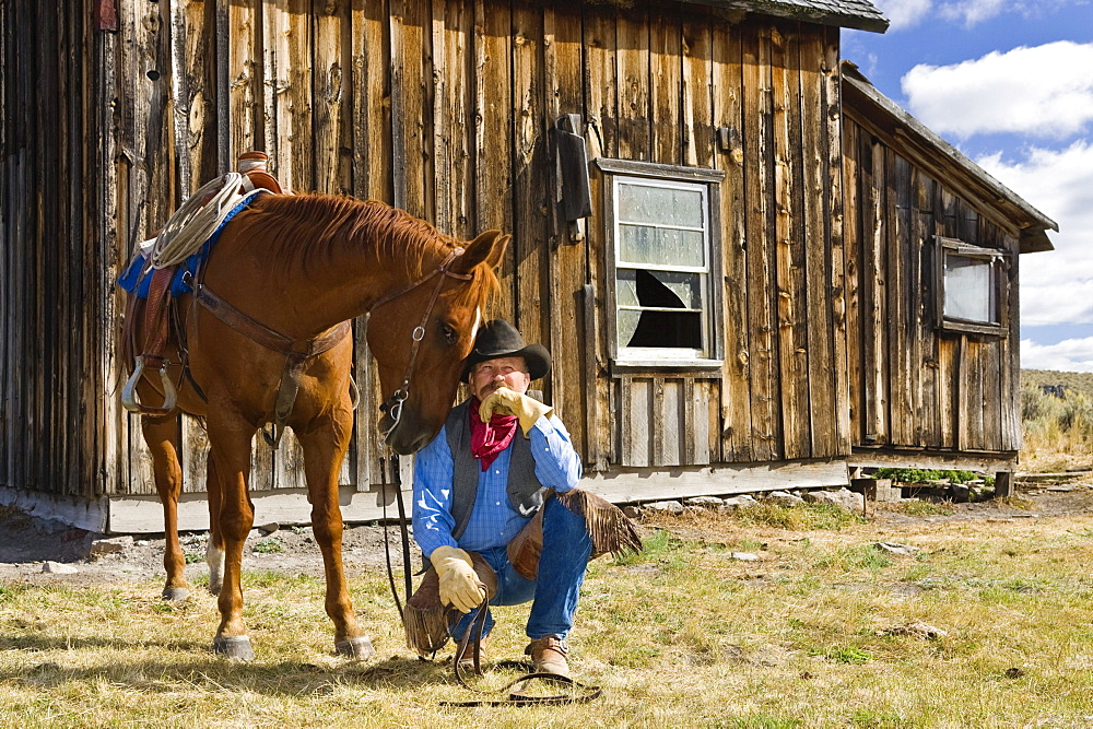 cowboy with horse at barn, wildwest, Oregon, USA