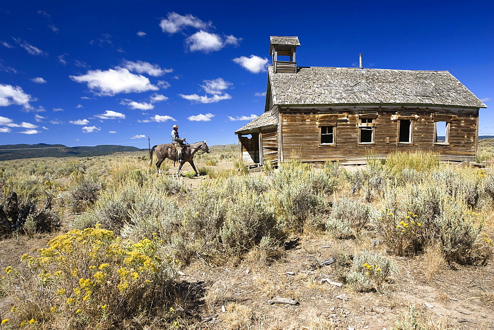 Cowboy with horse at old schoolhouse, wildwest, Oregon, USA