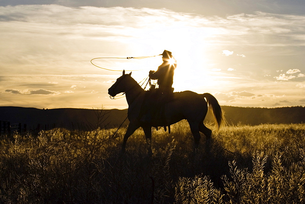 cowboy at sunset, Oregon, USA