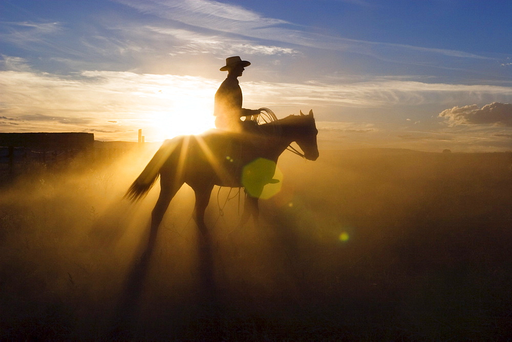 Cowboy riding at sunset, Oregon, USA