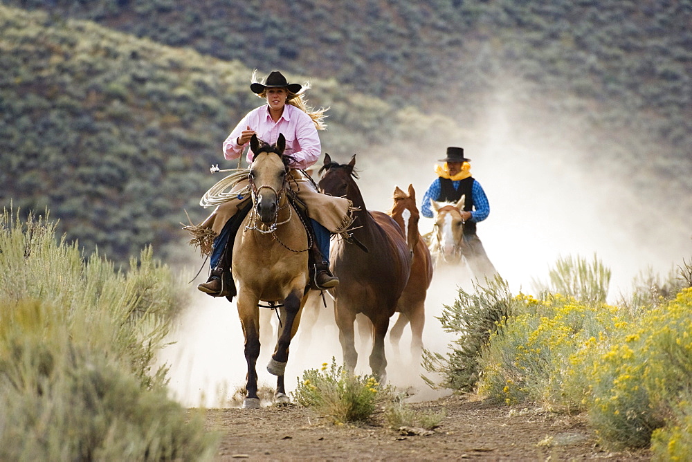 cowgirl and cowboy with horses, Oregon, USA