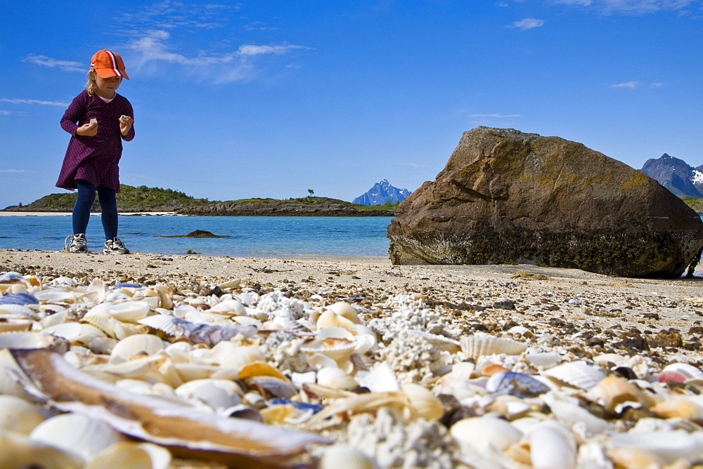 A child, girl collecting sea shells on the beach of Store Molla Island, Lofoten, Norway