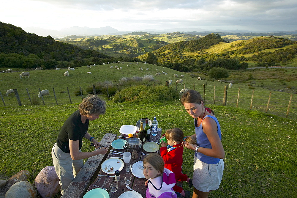 Dinner at campsite, sheep meadows, Okopako Lodge, near Opononi, Hokianga Harbour, Northland, North Island, New Zealand