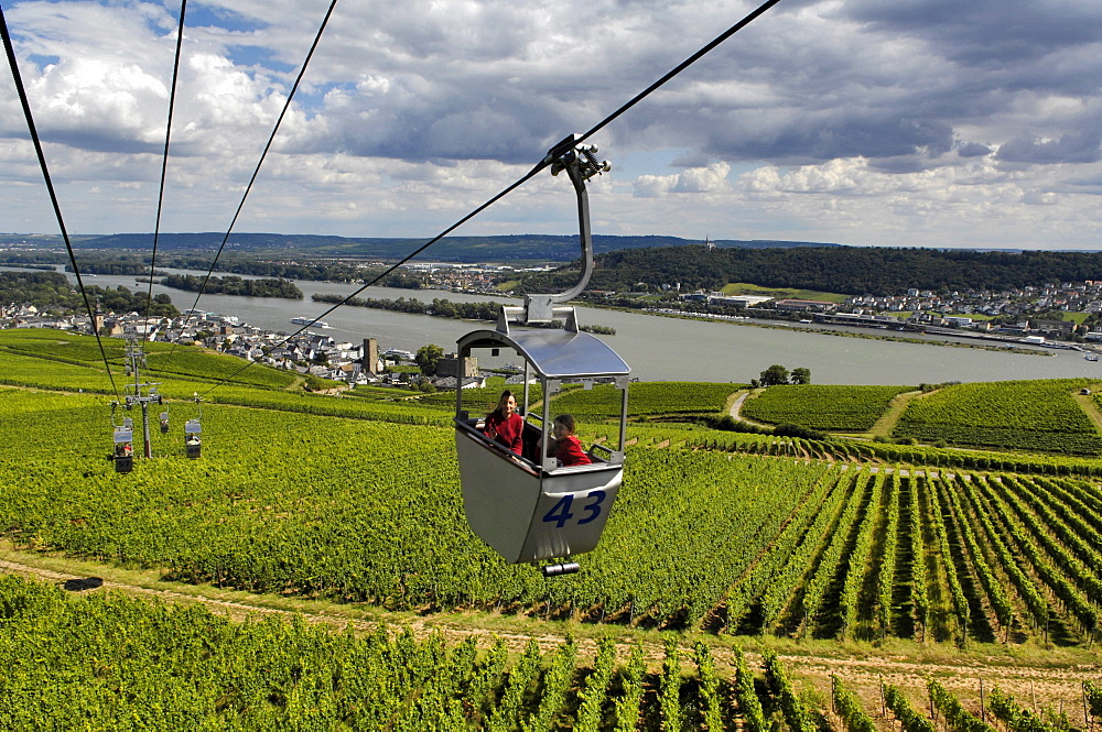 Cable car over vineyards, Ruedesheim am Rhein, Rheingau, Hesse, Germany