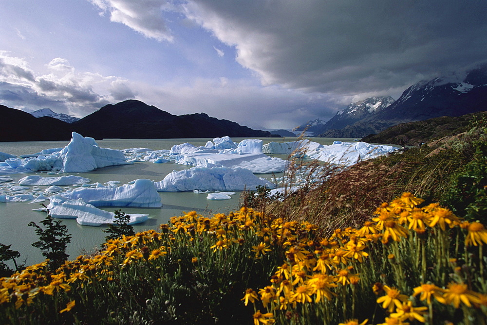 Lago del Grey, Torres del Paine National Park, Patagonia, Chile