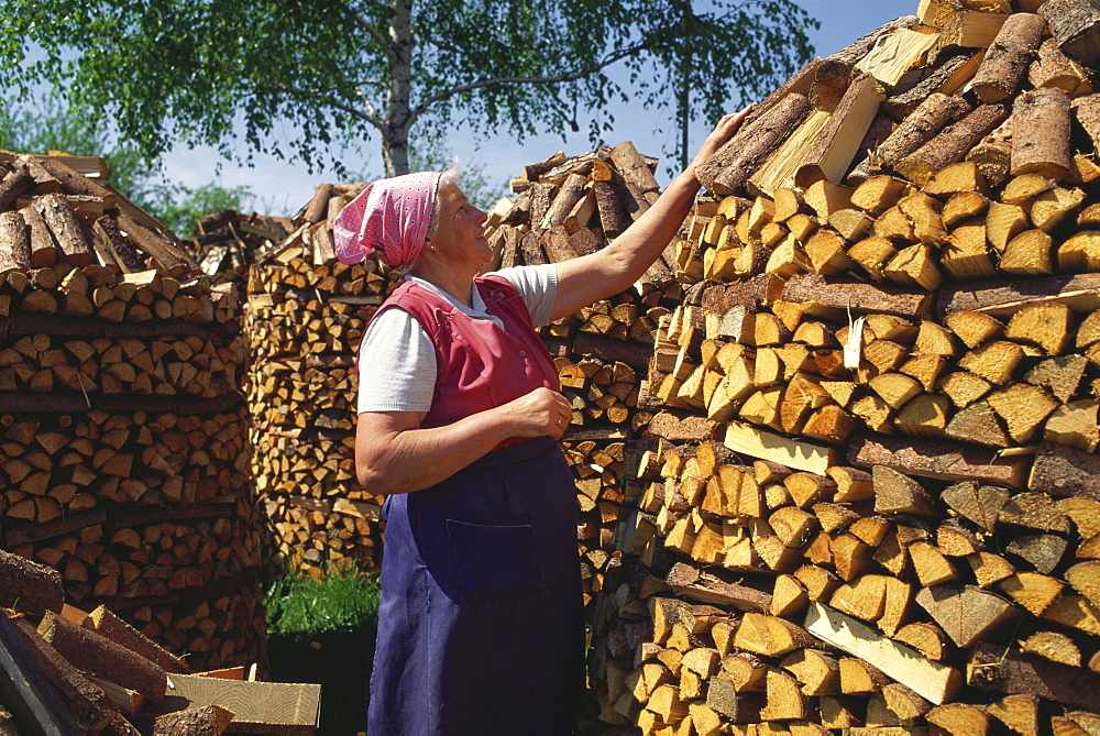 Traditionally dressed farmer woman piling up firewood to artistical heaps, Wiesenfelden, Bavarian Forest, Lower Bavaria, Germany