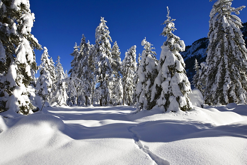 Winterscenery in the bavarian Alps, Upper Bavaria, Germany