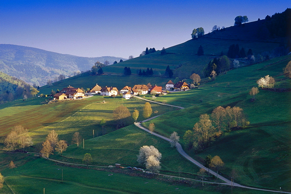 Typical Houses in the Black Forest, Wiedener Eck, Black Forest, Baden Wuerttemberg, Germany