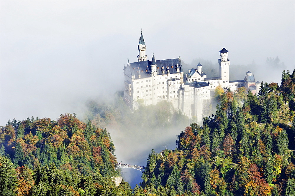 Neuschwanstein Castle above fog, Oberallgaeu, Bavaria, Germany