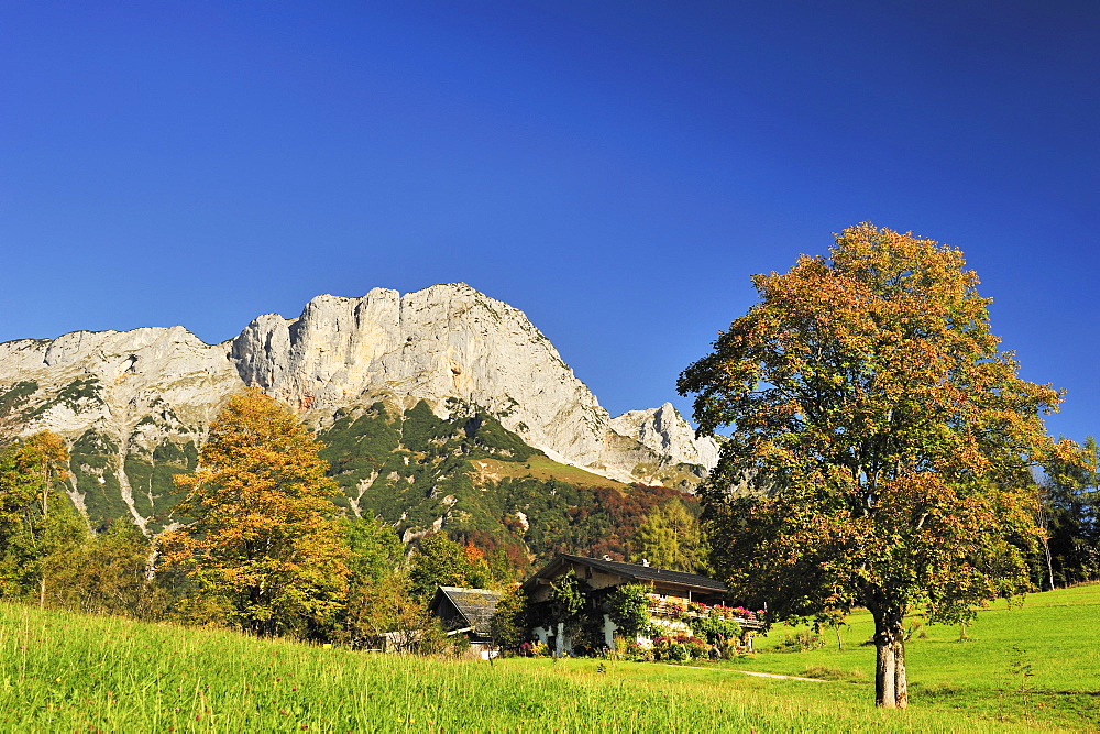 Farmhouse with Untersberg, Berchtesgadener Hochthron, Berchtesgaden Alps, Berchtesgaden, Upper Bavaria, Bavaria, Germany