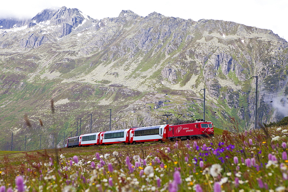 Glacier Express passing a flowering meadows at Naetschen station between Andermatt and Oberalppass, Urseren valley, Uri, Switzerland