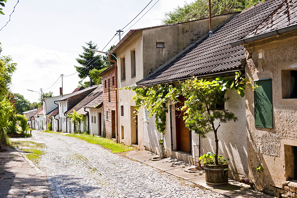 Wine region of Poysdorf, Wine region, Lower Austria, Austria