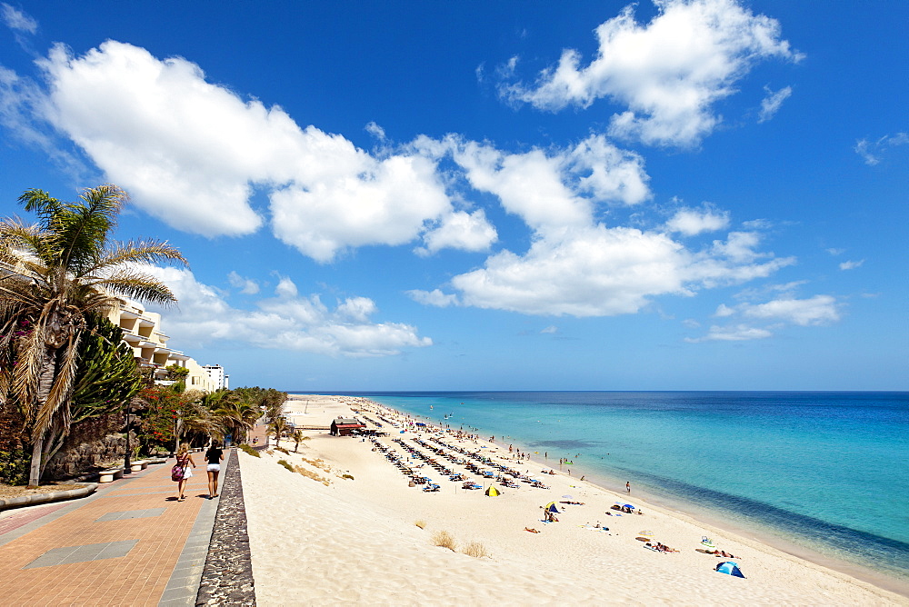 Beach and seaside promenade, Playa del Matorral, Morro Jable, Jandia peninsula, Fuerteventura, Canary Islands, Spain