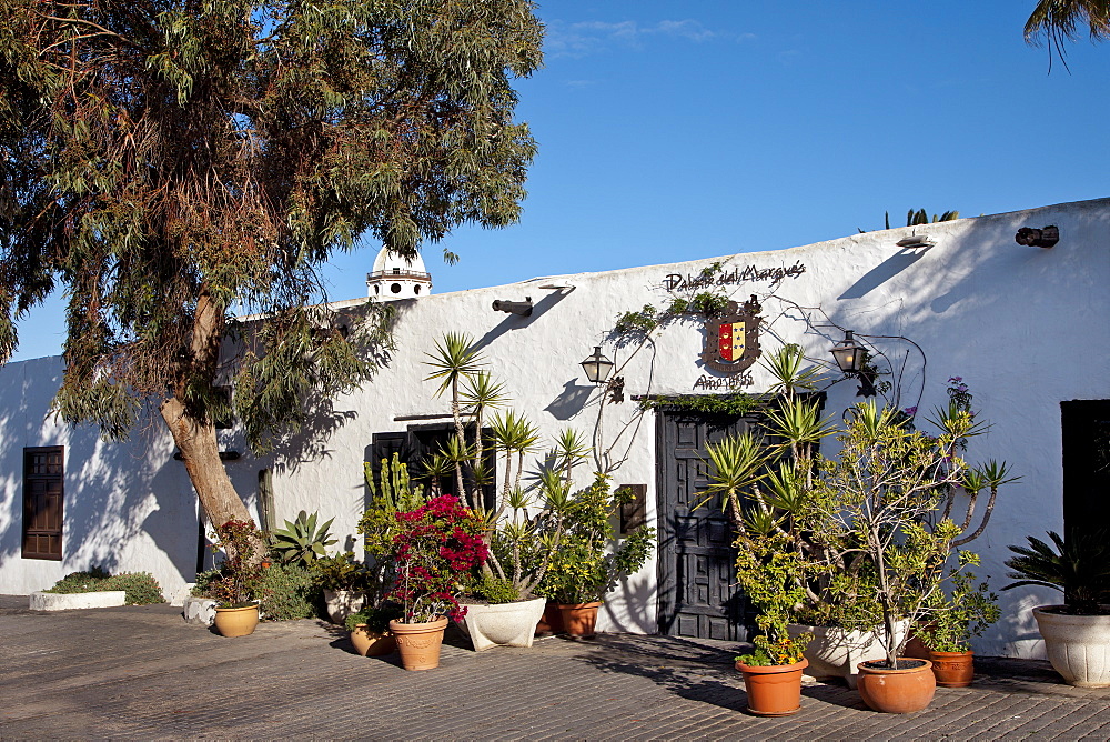Plants in front of a house, Teguise, Lanzarote, Canary Islands, Spain, Europe