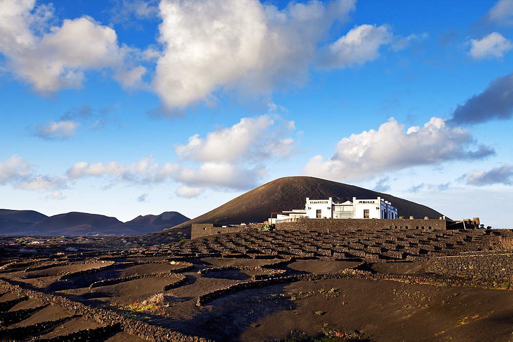 Winery Bodega La Geria, wine growing district La Geria, Lanzarote, Canary Islands, Spain, Europe