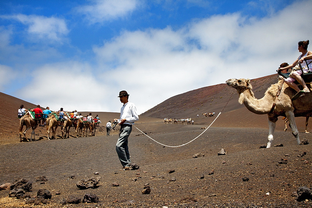 People riding camels in volcanic landscape, Timanfaya National Park, Lanzarote, Canary Islands, Spain, Europe