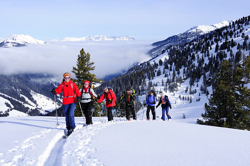 Group of people backcountry skiing, ascending to Pallspitze, Pallspitze, Langer Grund, Kitzbuehel Alps, Tyrol, Austria