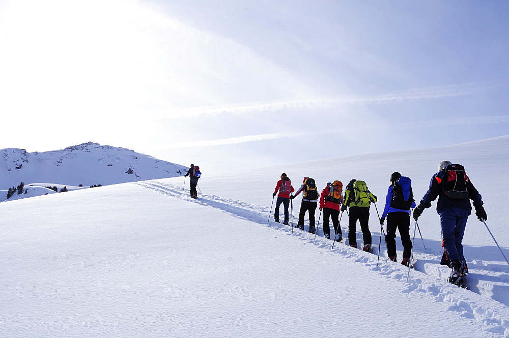 Group of people backcountry skiing, ascending to Pallspitze, Pallspitze, Langer Grund, Kitzbuehel Alps, Tyrol, Austria