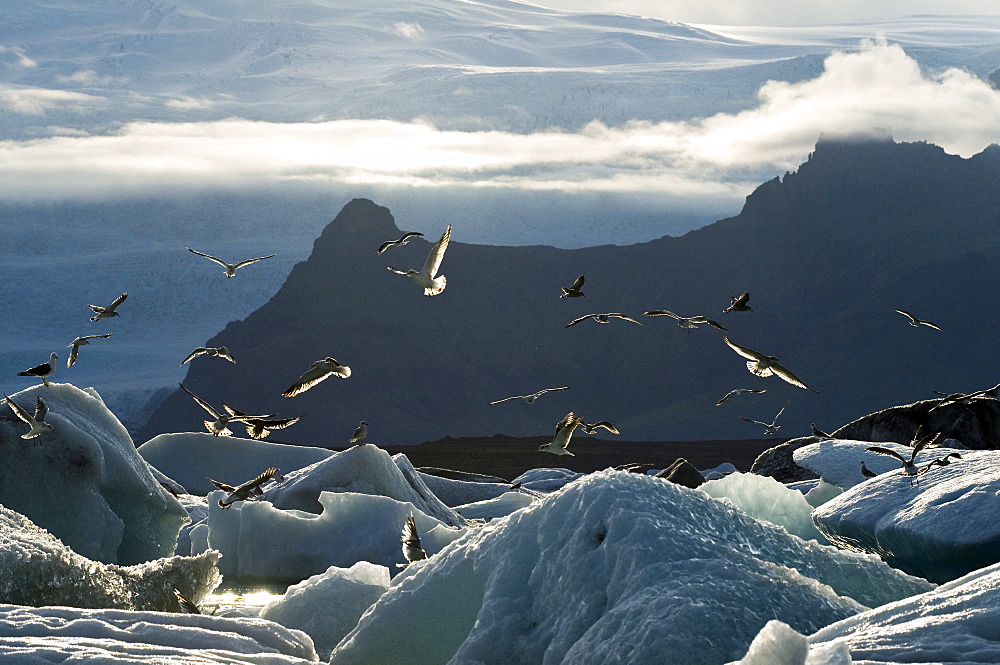 Jokulsarlon glacier lake, Iceland, Scandinavia, Europe