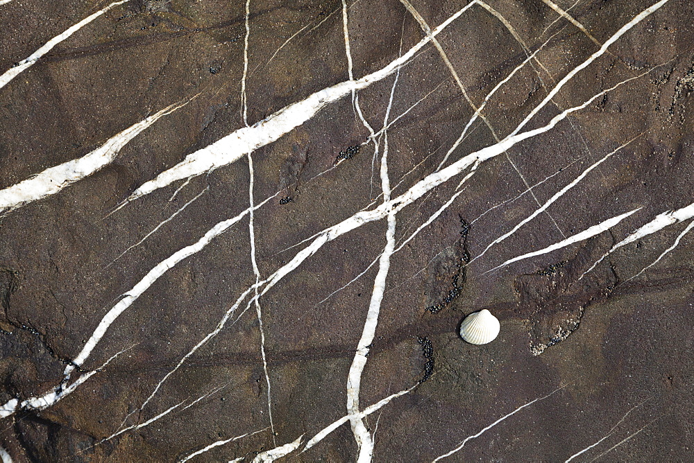 Quartz pattern in stone, Coast of the Atlantic Ocean, Portugal, Europe