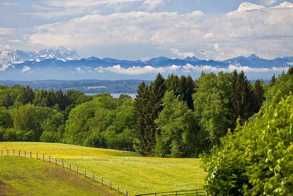 Forest at lake Starnberg in spring, Alps with Zugspitze, Upper Bavaria, Germany, Europe