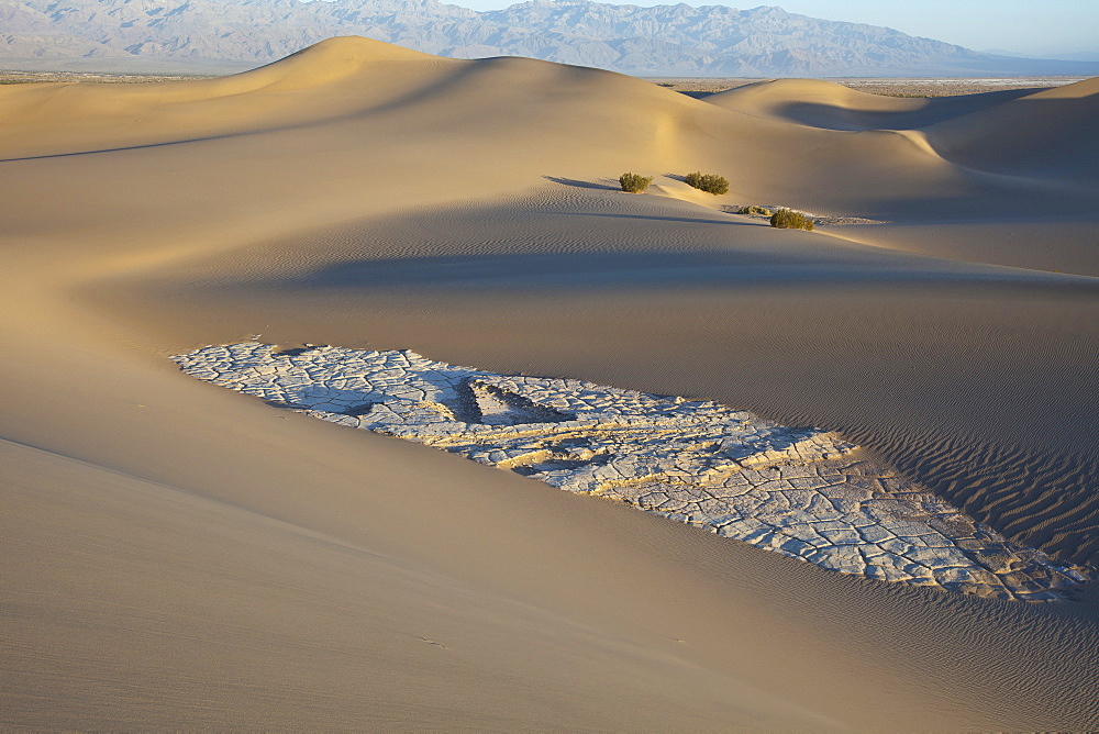 Mesquite Flat Sand Dunes, cracked clay and creosote bushes, Death Valley National Park, California, USA, America