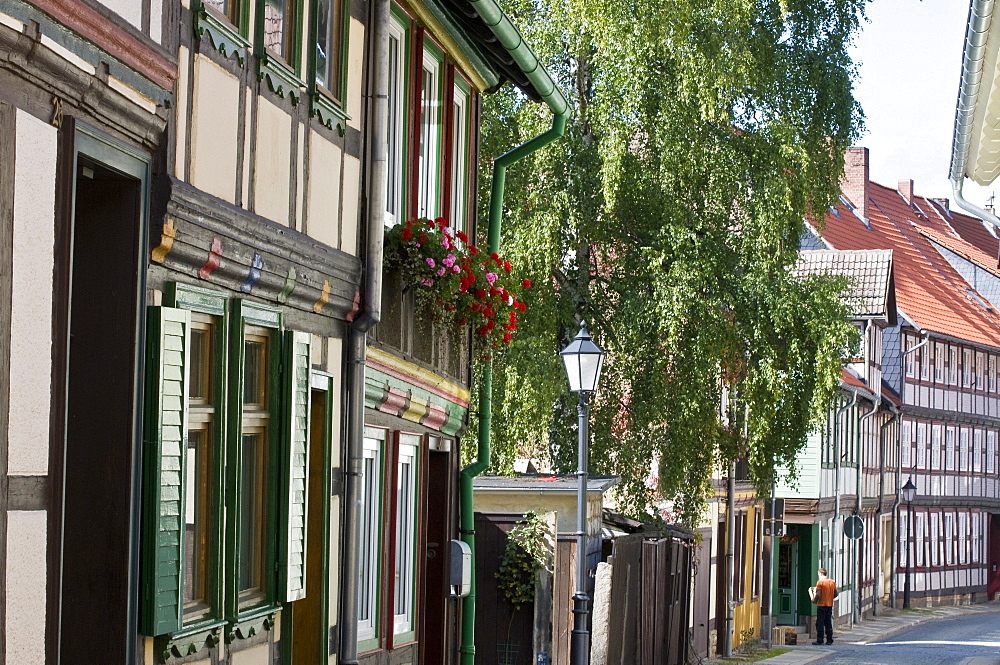 Kochstrasse, street with timber framed houses, old town, Wernigerode, Harz, Saxony-Anhalt, Germany