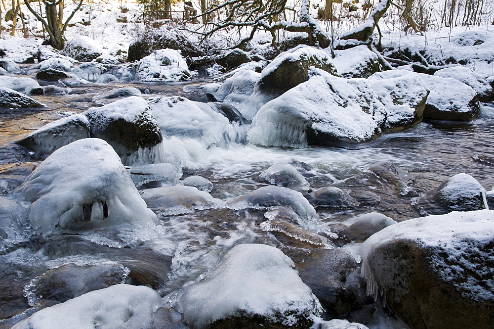 The Kalte Bode river in winter, Schierke, Harz, Saxony-Anhalt, Germany