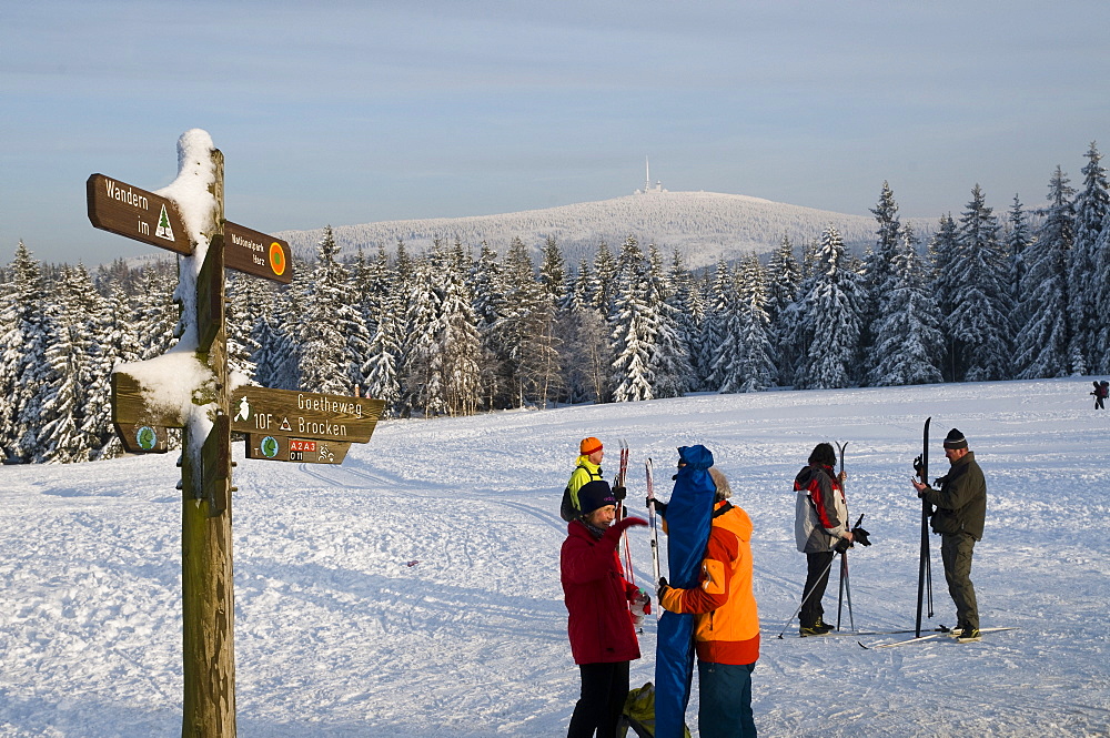 Cross country skiers, snowy forest, Brocken mountain in the background, Torfhaus, Altenau, Harz, Lower Saxony, Germany